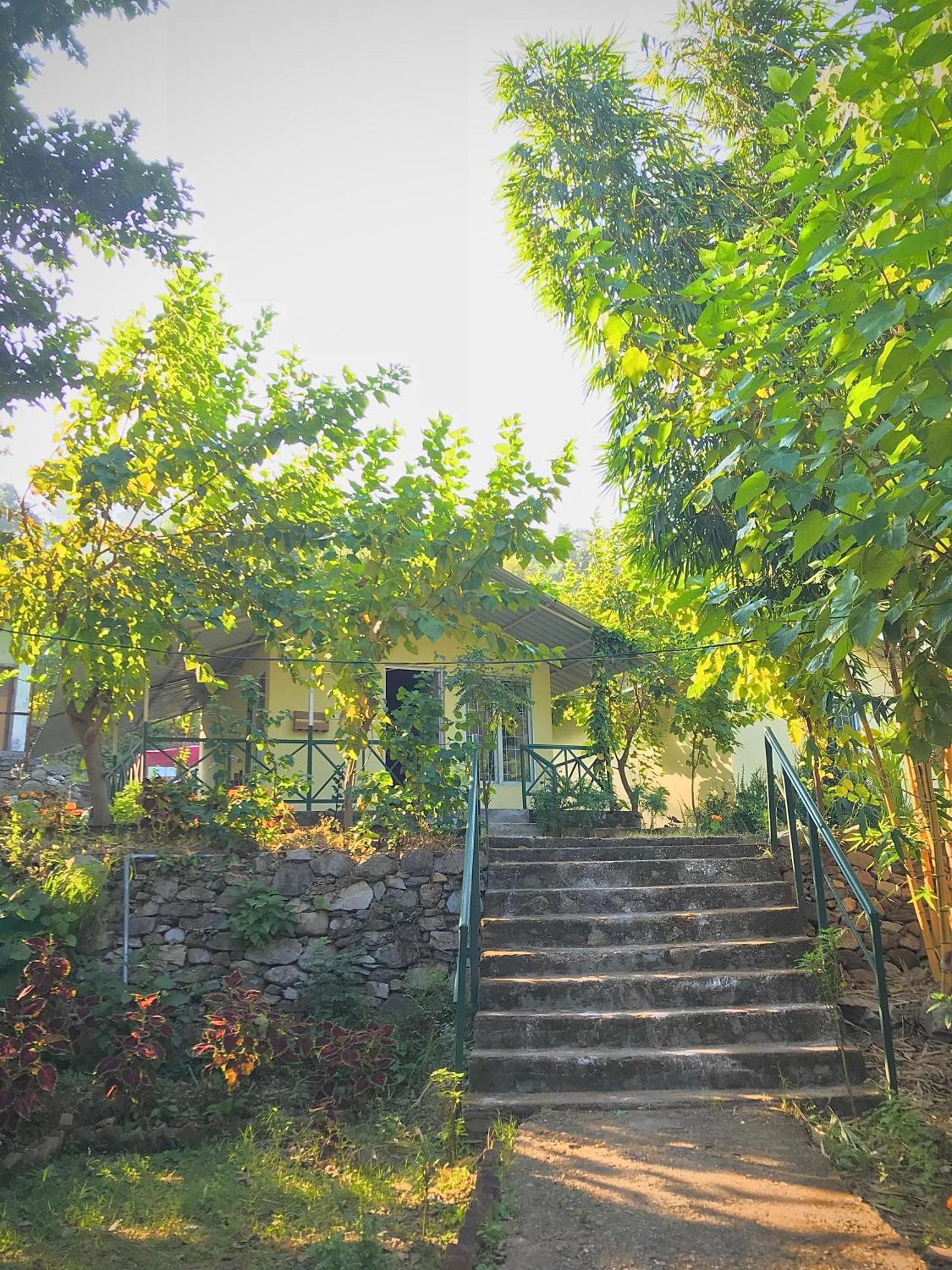 Shoolin Jungle Resort Ришикеш Экстерьер фото